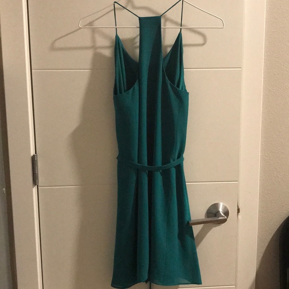 Turquoise Naked Zebra Dress - Picture 3 of 4